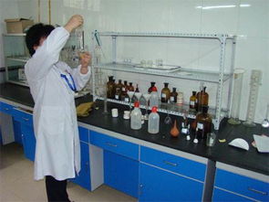 广州优质食品级碱式碳酸镁价格分析与技术推广